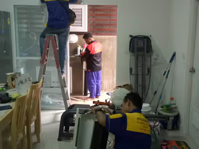 ภาพแกลลอรี่ 24