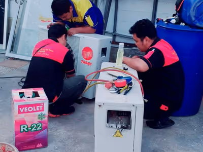 ภาพแกลลอรี่ 41