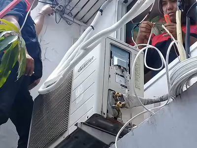 ภาพแกลลอรี่ 12