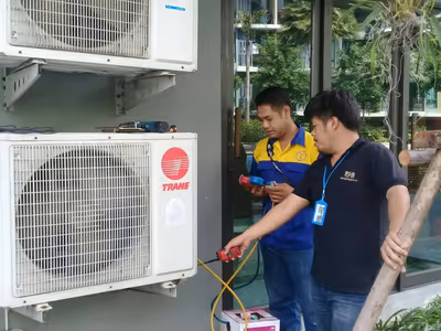 ภาพแกลลอรี่ 6