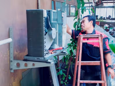 ภาพแกลลอรี่ 43