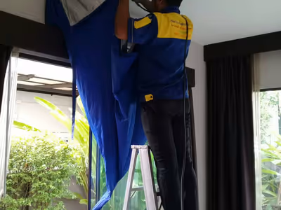 ภาพแกลลอรี่ 11