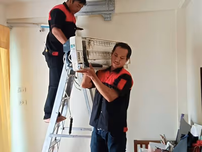 ภาพแกลลอรี่ 8