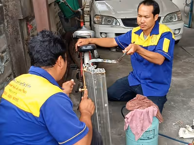 ภาพแกลลอรี่ 8