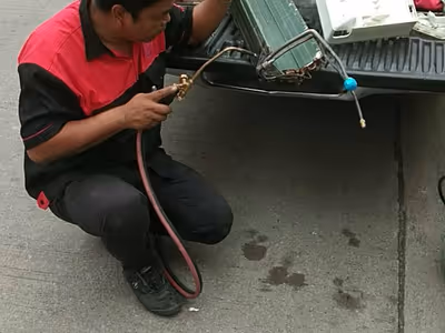 ภาพแกลลอรี่ 15